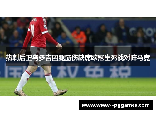 热刺后卫乌多吉因腿筋伤缺席欧冠生死战对阵马竞