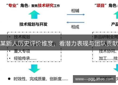 某新人历史评价维度,看潜力表现与团队贡献 某新人历史评价维度,看潜力表现与团队贡献